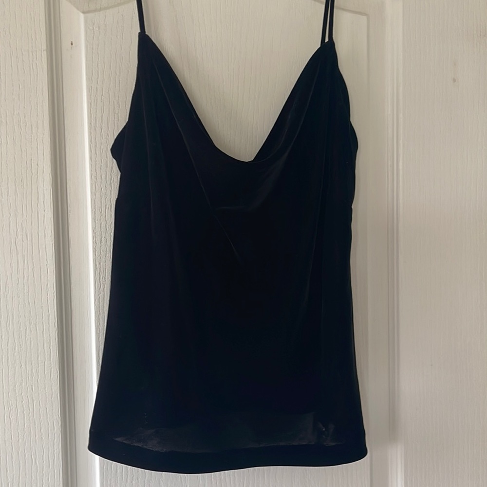 The Limited Velvet Tank